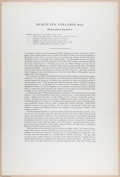 E374 - Various Rich Breiman - i16208