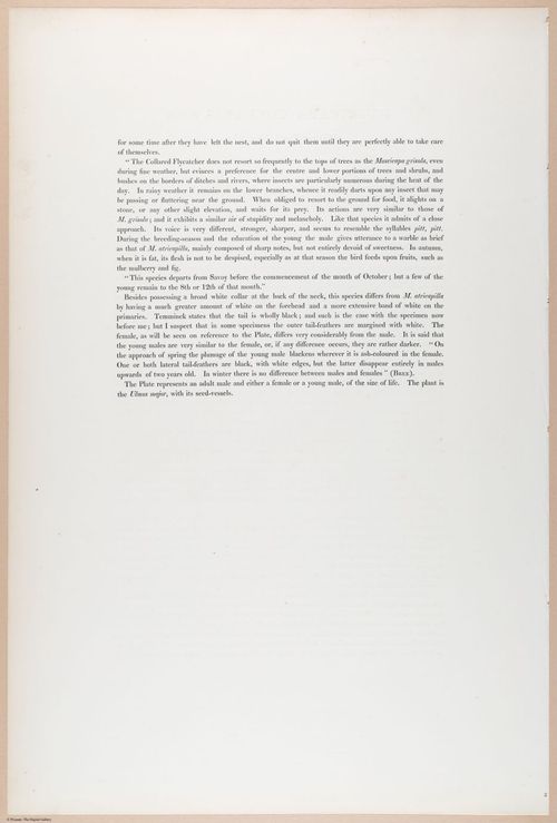 E374 - Various Rich Breiman - i16209