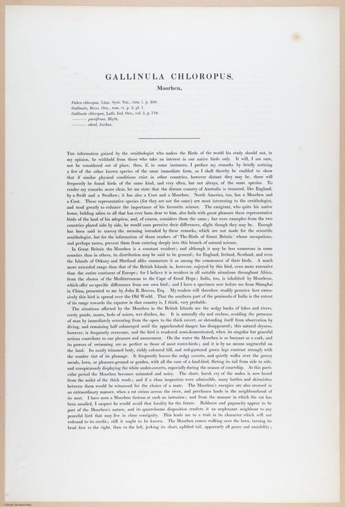 E374 - Various Rich Breiman - i16214