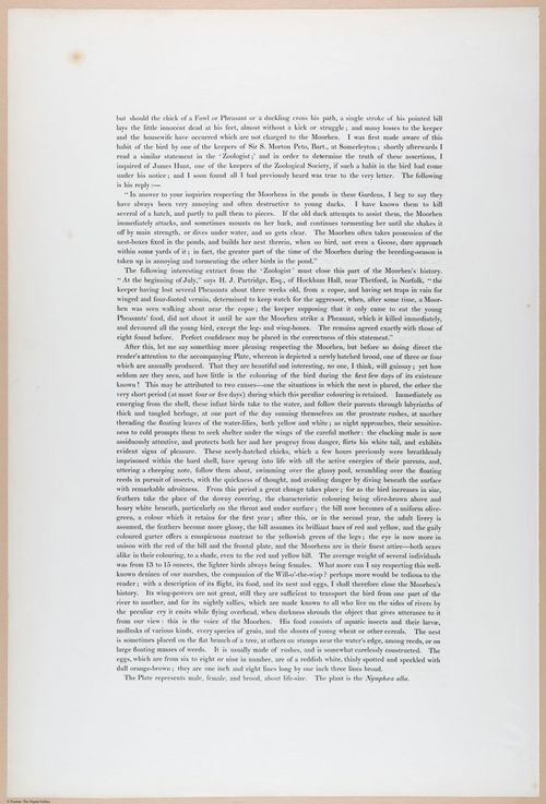 E374 - Various Rich Breiman - i16215