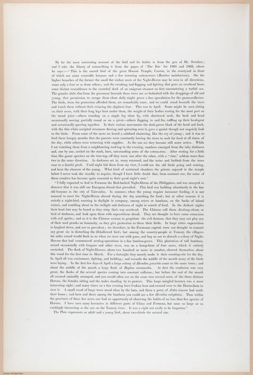 E374 - Various Rich Breiman - i16220