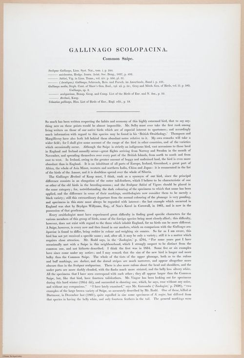E374 - Various Rich Breiman - i16222