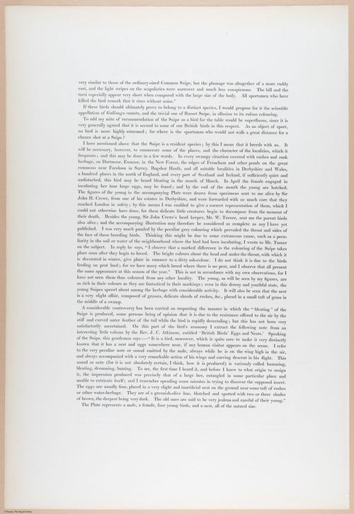 E374 - Various Rich Breiman - i16223