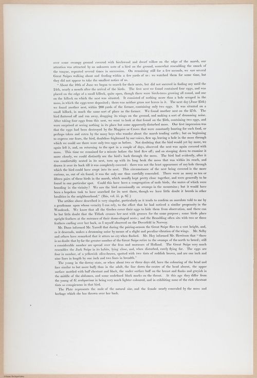 E374 - Various Rich Breiman - i16227