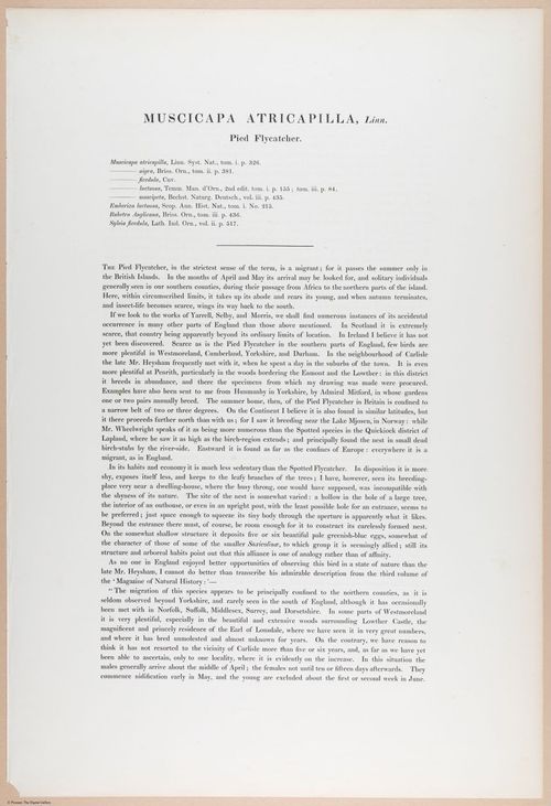 E374 - Various Rich Breiman - i16229