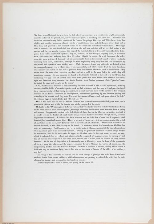 E374 - Various Rich Breiman - i16230