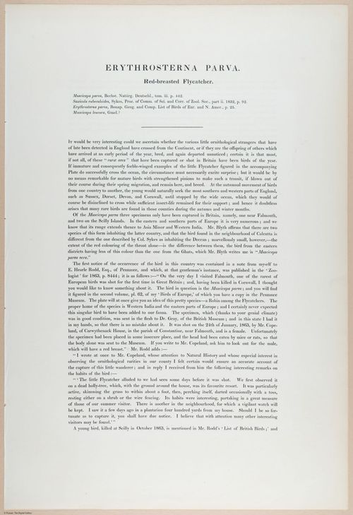 E374 - Various Rich Breiman - i16232