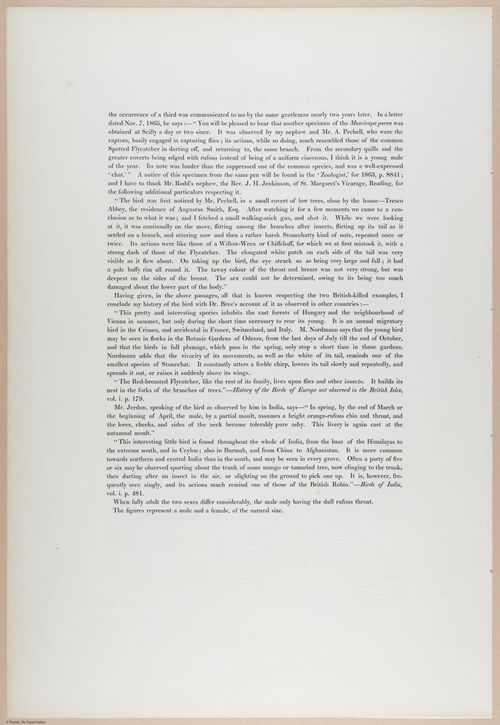E374 - Various Rich Breiman - i16233