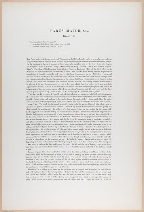 E374 - Various Rich Breiman - i16235