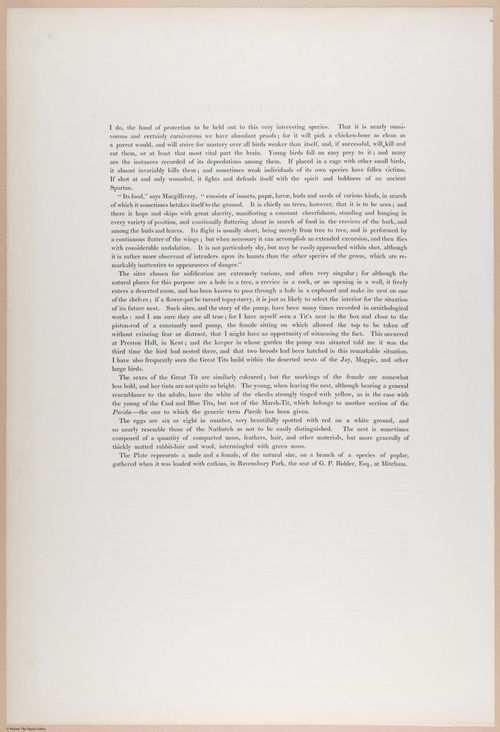 E374 - Various Rich Breiman - i16236