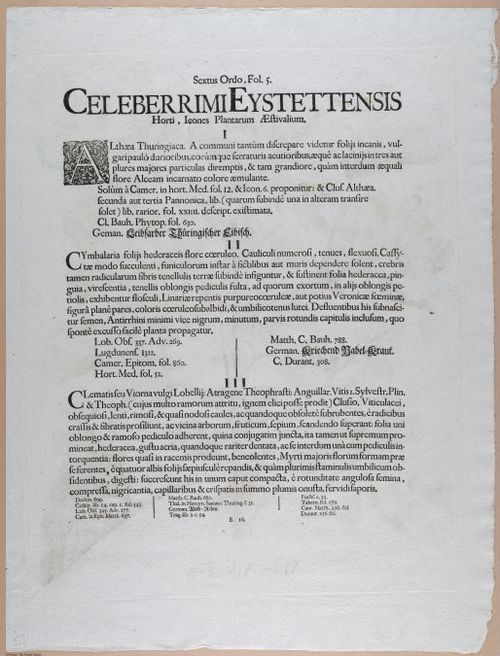 E374 - Various Rich Breiman - i16345