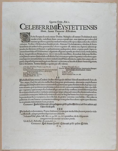 E374 - Various Rich Breiman - i16351