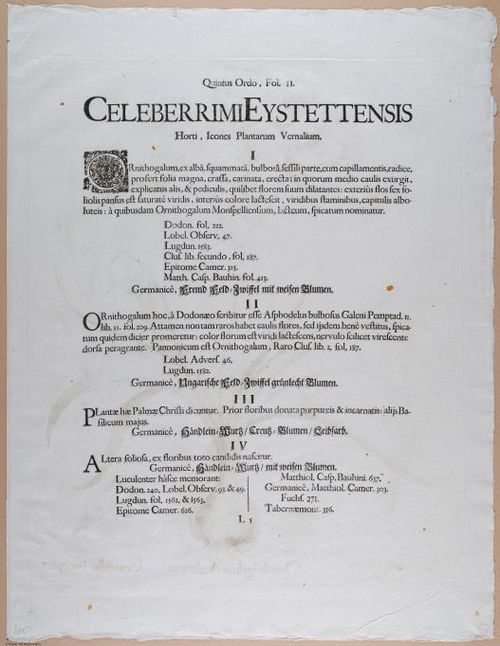 E374 - Various Rich Breiman - i16353