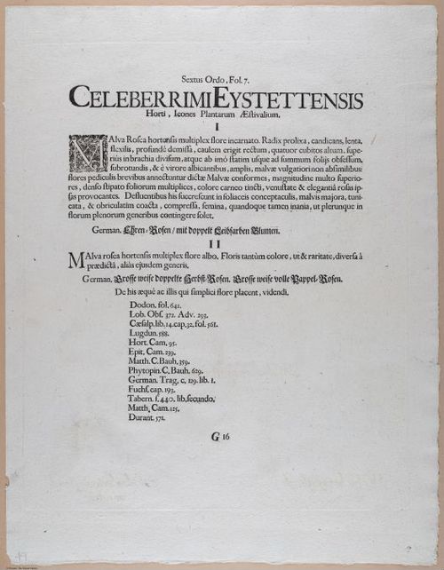 E374 - Various Rich Breiman - i16395