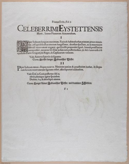 E374 - Various Rich Breiman - i16397