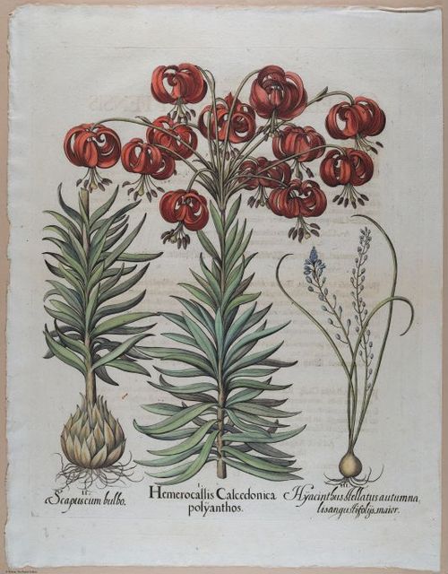 E374 - Various Rich Breiman - i16398