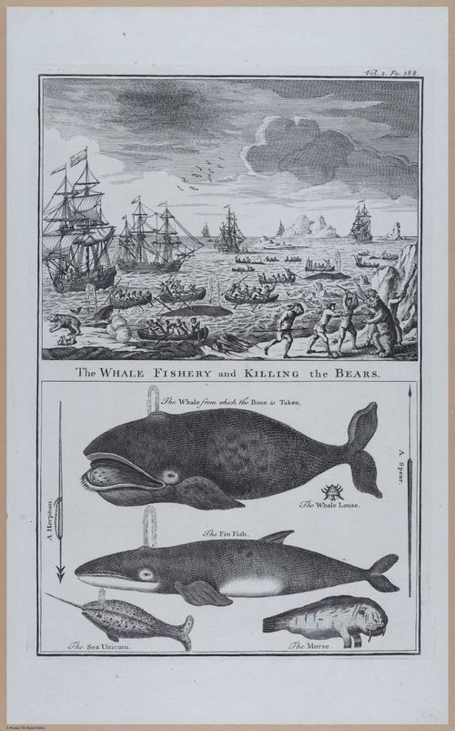 E374 - Various Rich Breiman - i16472