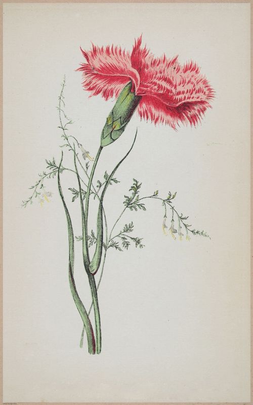 E364 - The Lady's Book of Flowers and Poetry - 14001
