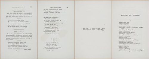 E364 - The Lady's Book of Flowers and Poetry - 14010-14012-14013-14014