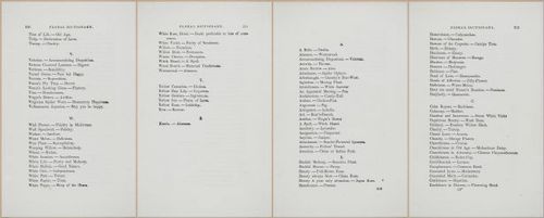 E364 - The Lady's Book of Flowers and Poetry - 14027-14028-14029-14030