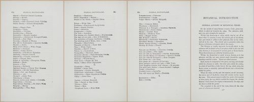 E364 - The Lady's Book of Flowers and Poetry - 14040-14042-14043-14044