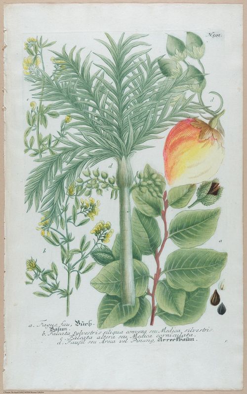 E451 - Various Rich Breiman- i16811