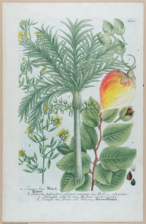 E451 - Various Rich Breiman- i16836