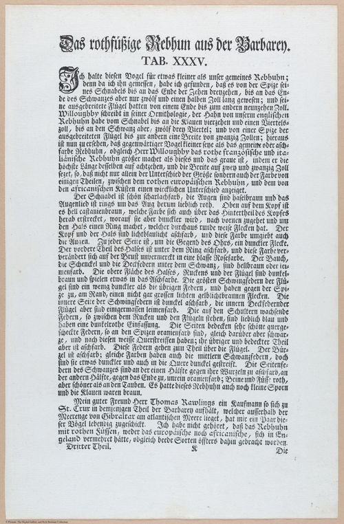 E453 - Various Rich Breiman- i16857