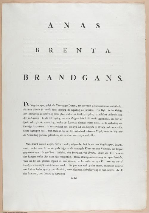 E460 - Various Rich Breiman- i17024
