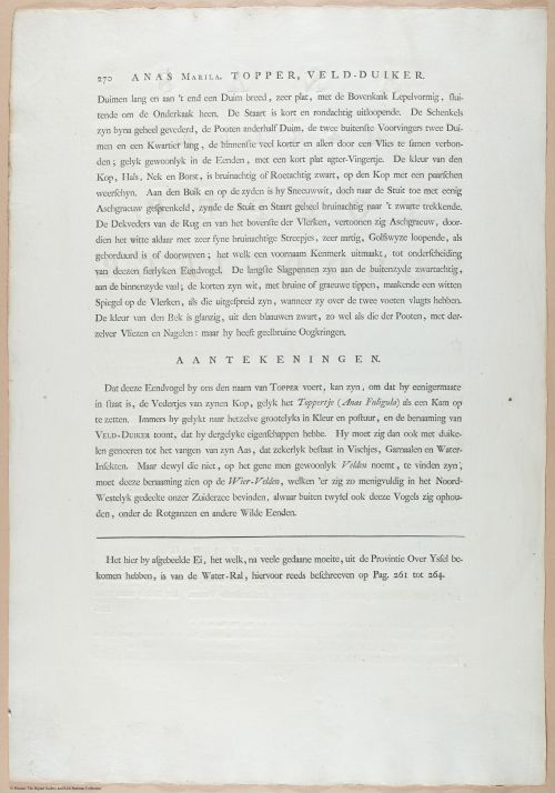 E460 - Various Rich Breiman- i17031