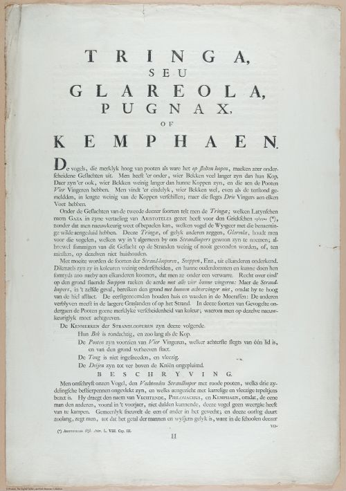 E460 - Various Rich Breiman- i17033