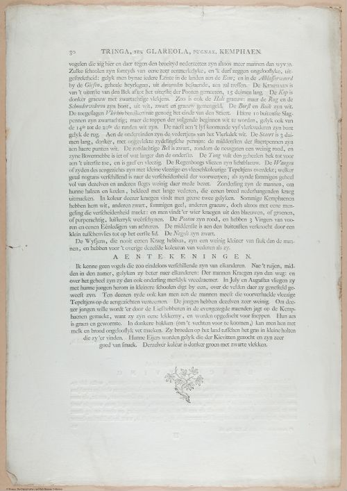 E460 - Various Rich Breiman- i17034