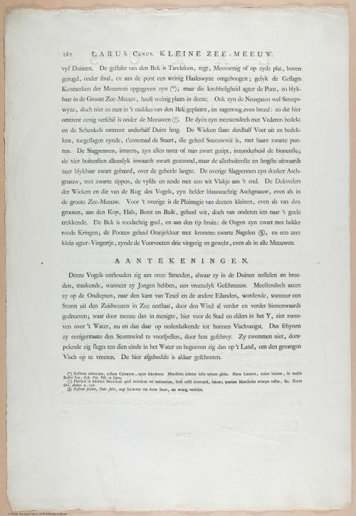 E460 - Various Rich Breiman- i17037
