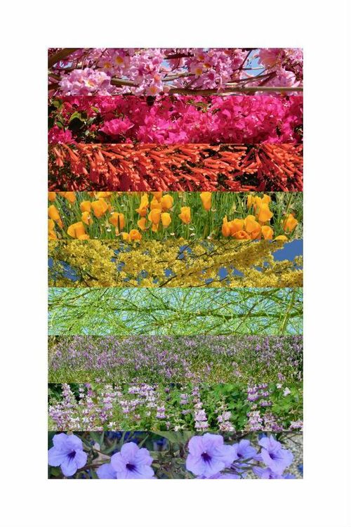 Flowers 22x33