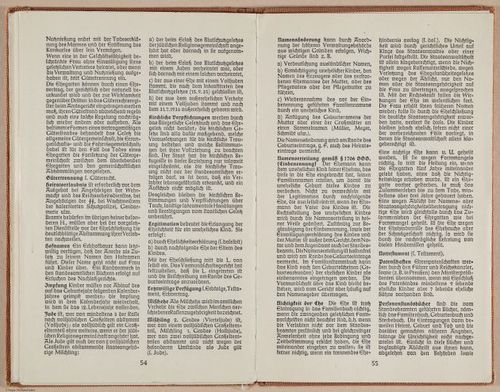 E385 - Mina book 2 - i16771