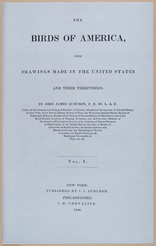 E389 - Audubon Birds - i17862