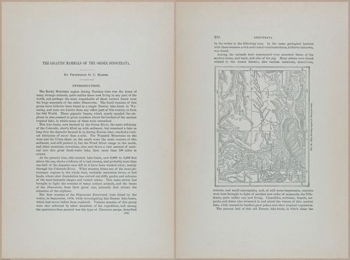 E366 - US Geological Survey - 1885 - 14556-14557