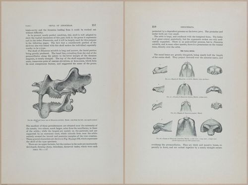 E366 - US Geological Survey - 1885 - 14565-14566