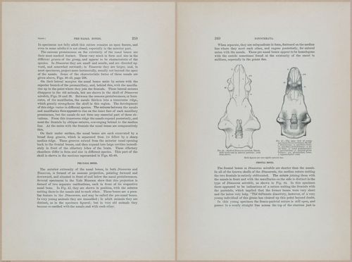 E366 - US Geological Survey - 1885 - 14567-14568
