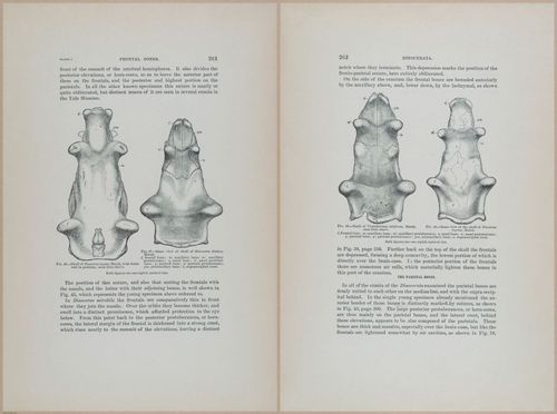 E366 - US Geological Survey - 1885 - 14569-14570