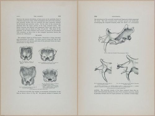 E366 - US Geological Survey - 1885 - 14572-14573