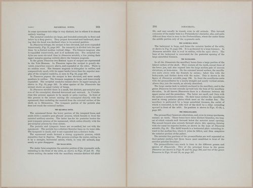E366 - US Geological Survey - 1885 - 14574-14575