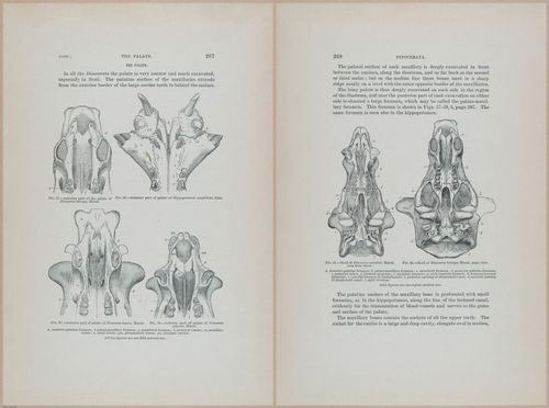 E366 - US Geological Survey - 1885 - 14576-14577