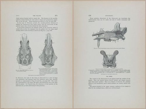 E366 - US Geological Survey - 1885 - 14581-14582