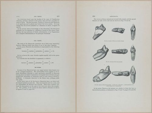 E366 - US Geological Survey - 1885 - 14587-14588