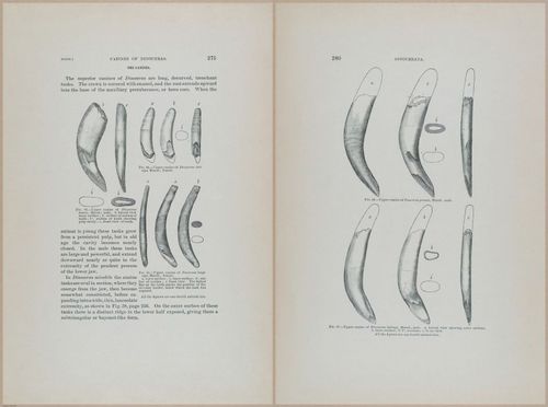 E366 - US Geological Survey - 1885 - 14589-14590