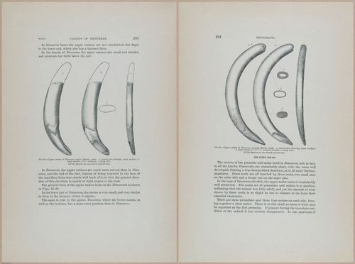 E366 - US Geological Survey - 1885 - 14591-14592
