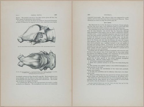 E366 - US Geological Survey - 1885 - 14597-14598