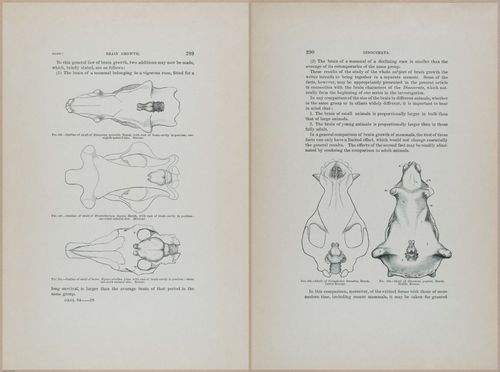 E366 - US Geological Survey - 1885 - 14599-14600