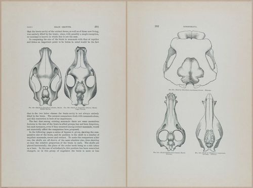 E366 - US Geological Survey - 1885 - 14601-14602